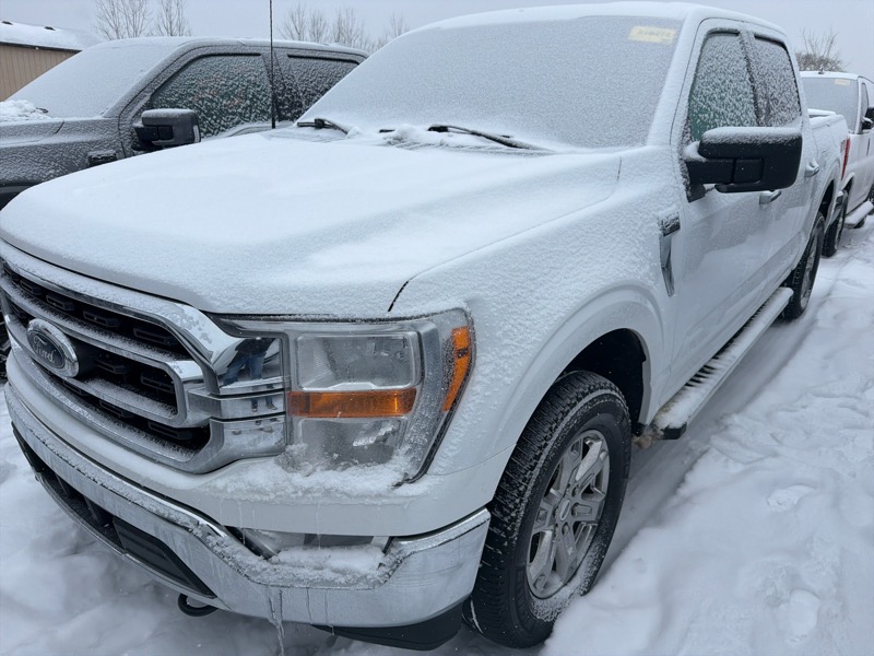 Ford F-150 XLT SuperCrew 5.5-ft. Bed 4WD 2023