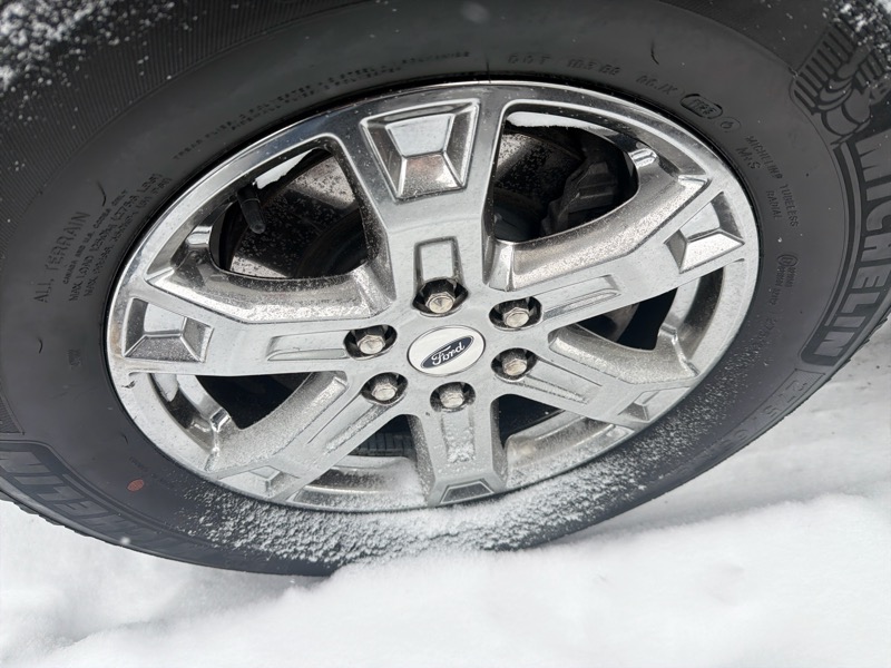 Ford F-150 XLT SuperCrew 5.5-ft. Bed 4WD 2023