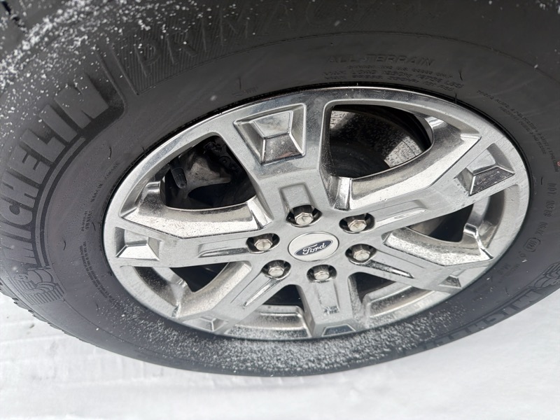 Ford F-150 XLT SuperCrew 5.5-ft. Bed 4WD 2023