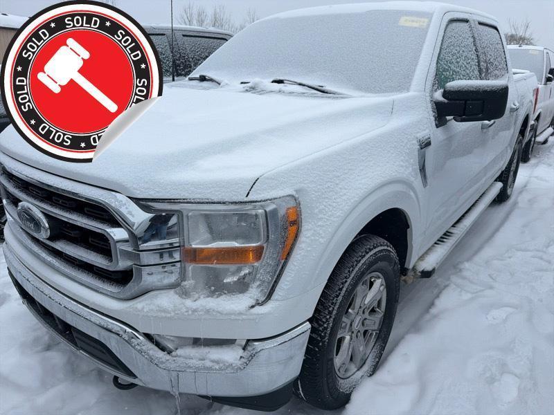 Ford F-150 XLT SuperCrew 5.5-ft. Bed 4WD 2023