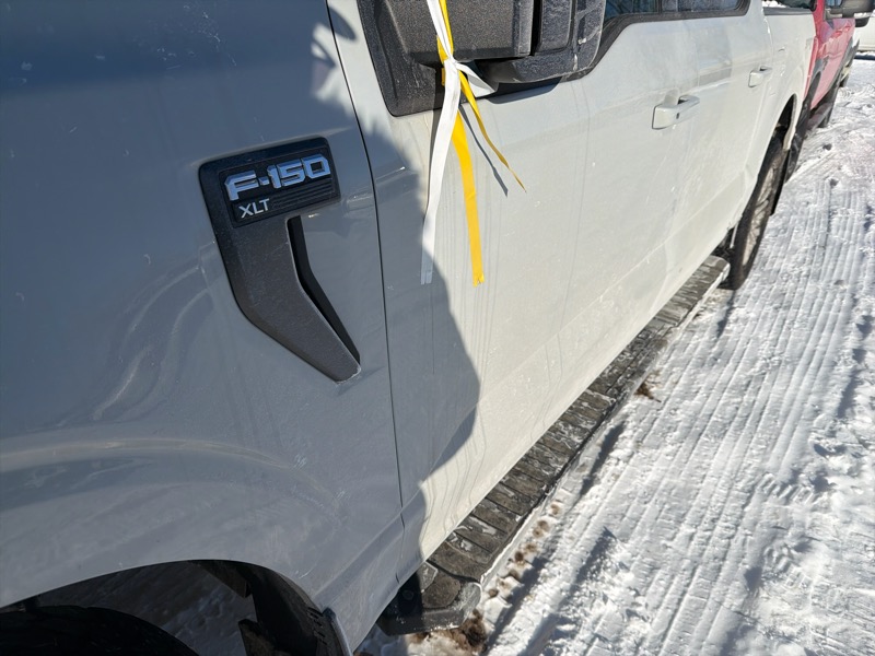 Ford F-150 XLT SuperCrew 5.5-ft. Bed 4WD 2023