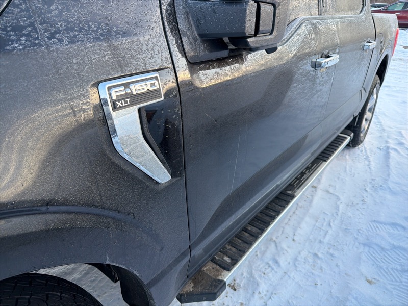 Ford F-150 XLT SuperCrew 5.5-ft. Bed 4WD 2023