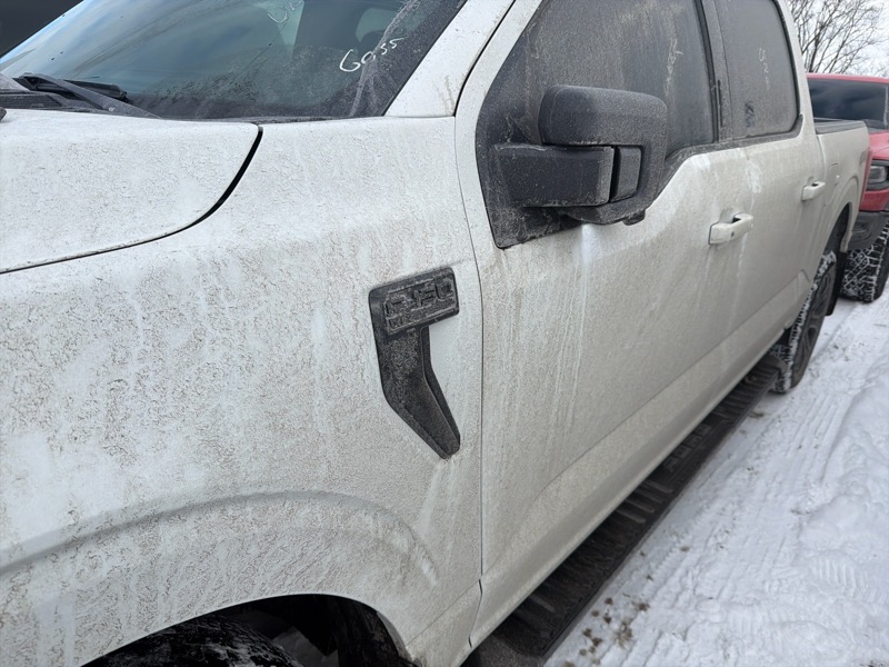 Ford F-150 XLT SuperCrew 5.5-ft. Bed 4WD 2023