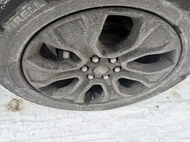 Ford F-150 XLT SuperCrew 5.5-ft. Bed 4WD 2023