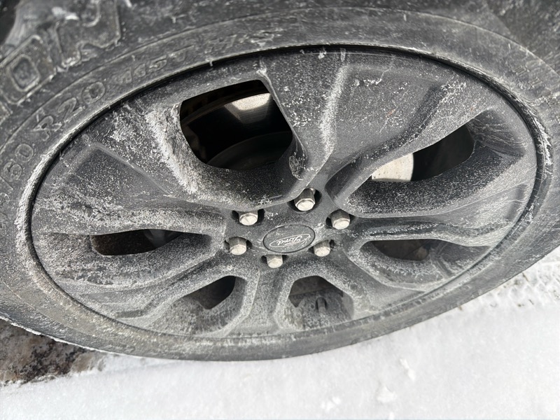 Ford F-150 XLT SuperCrew 5.5-ft. Bed 4WD 2023