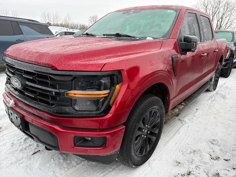 Ford F-150 XLT SuperCrew 4WD 2024