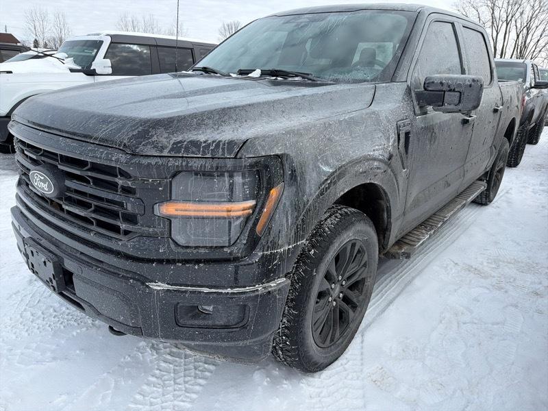 Ford F-150 XLT SuperCrew 4WD 2024
