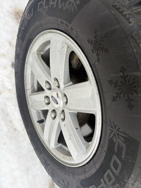 Ford F-150 XLT SuperCrew 5.5-ft. Bed 4WD 2023