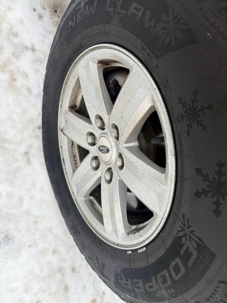 Ford F-150 XLT SuperCrew 5.5-ft. Bed 4WD 2023