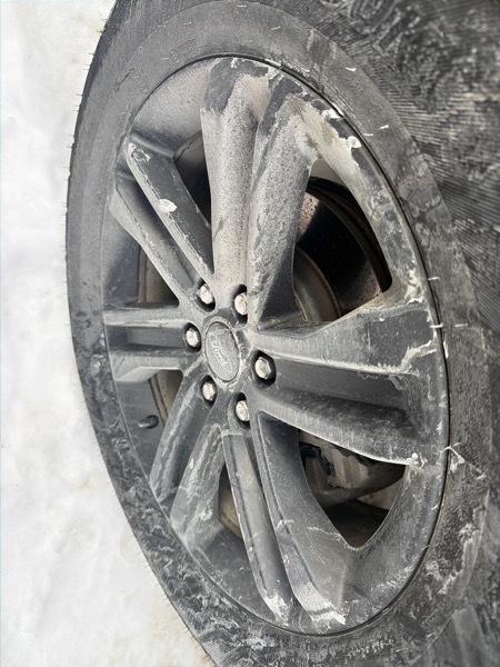 Ford F-150 XLT SuperCrew 5.5-ft. Bed 4WD 2023