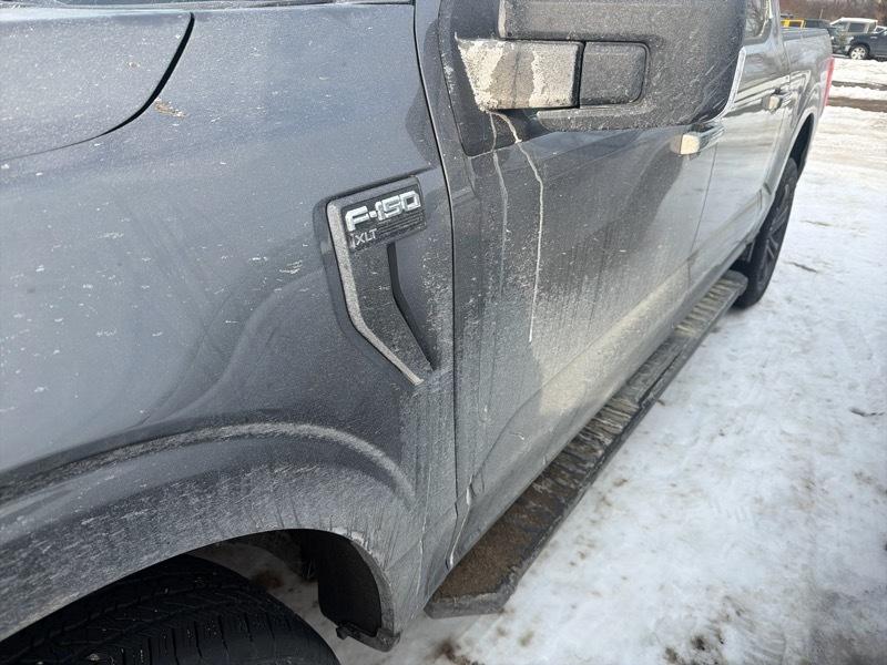 Ford F-150 XLT SuperCrew 5.5-ft. Bed 4WD 2023