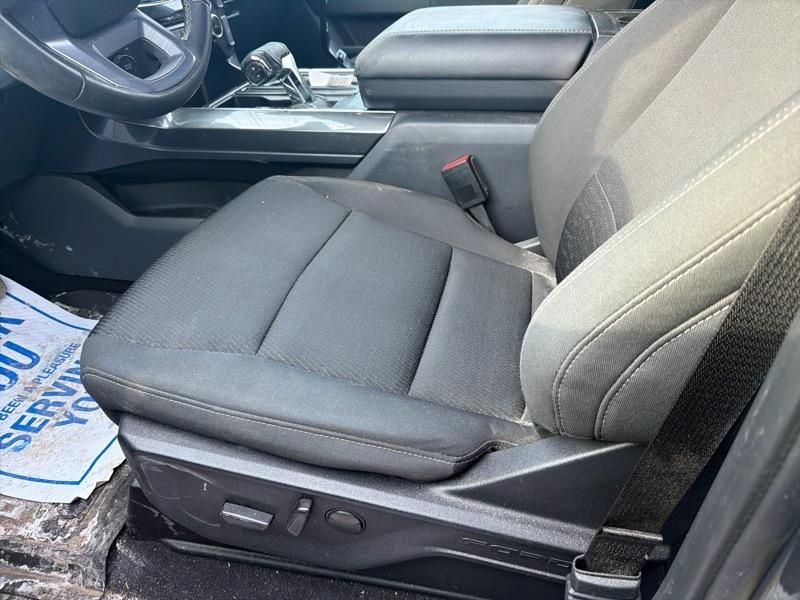 Ford F-150 XLT SuperCrew 5.5-ft. Bed 4WD 2023