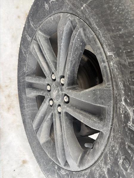 Ford F-150 XLT SuperCrew 5.5-ft. Bed 4WD 2023