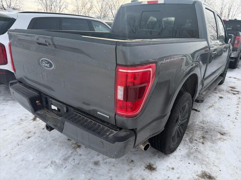 Ford F-150 XLT SuperCrew 5.5-ft. Bed 4WD 2023