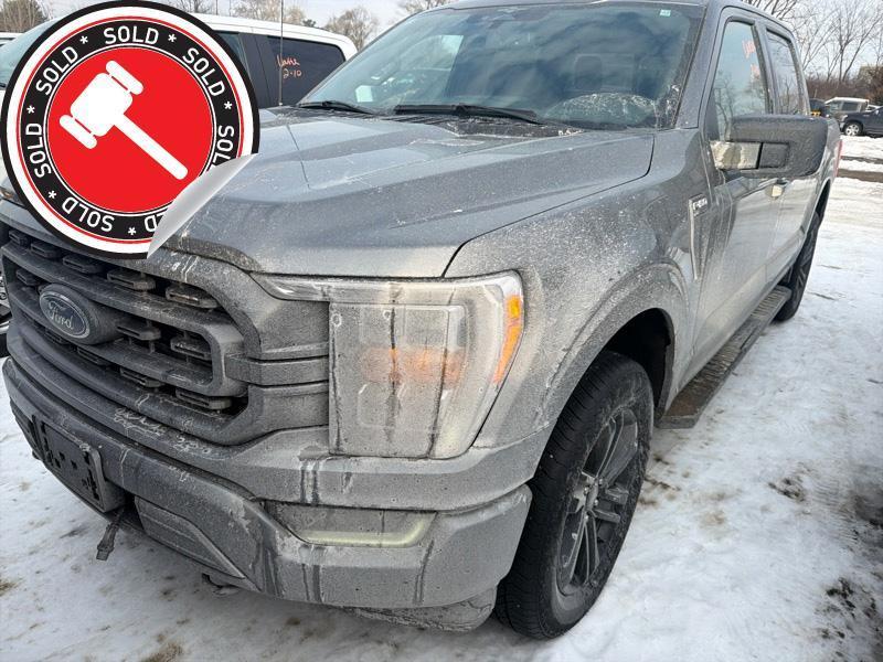 Ford F-150 XLT SuperCrew 5.5-ft. Bed 4WD 2023