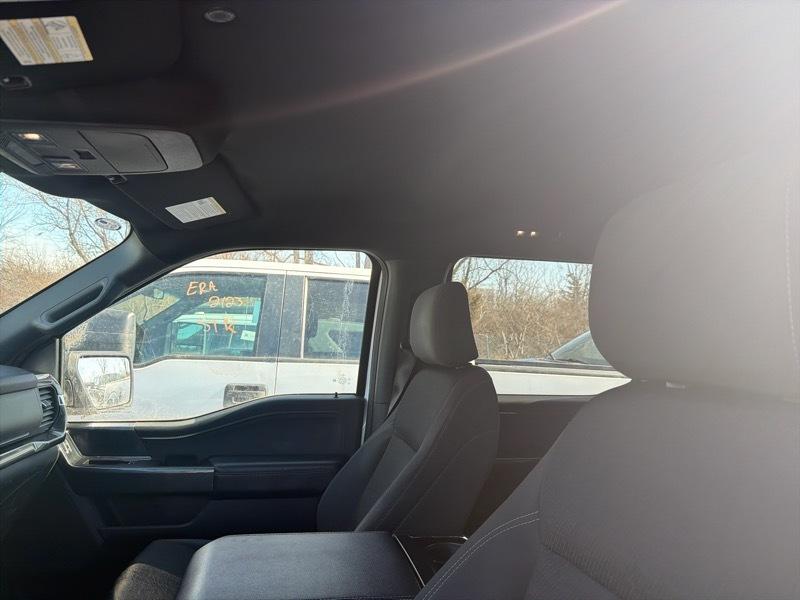 Ford F-150 XLT SuperCrew 5.5-ft. Bed 4WD 2023