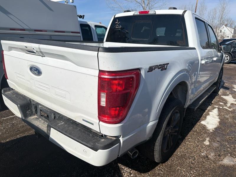 Ford F-150 XLT SuperCrew 5.5-ft. Bed 4WD 2023