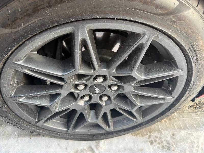 Ford Mustang GT Premium Convertible 2024