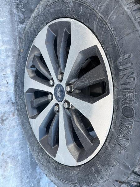 Ford F-150 XL SuperCrew 6.5-ft. Bed 4WD 2020