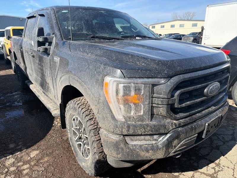 Ford F-150 XLT SuperCrew 5.5-ft. Bed 4WD 2023