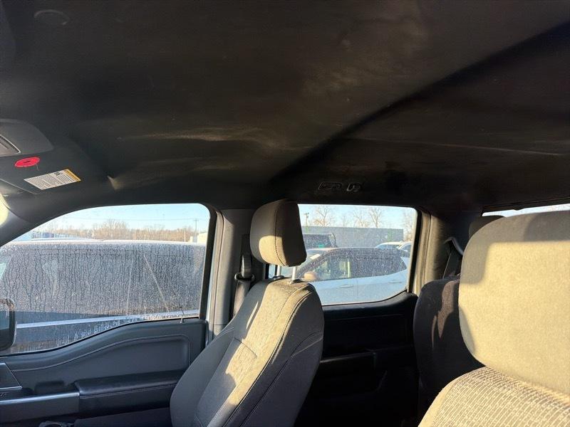 Ford F-150 XLT SuperCrew 5.5-ft. Bed 4WD 2023