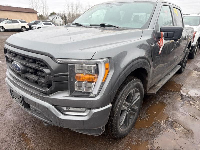 Ford F-150 XLT SuperCrew 5.5-ft. Bed 4WD 2023
