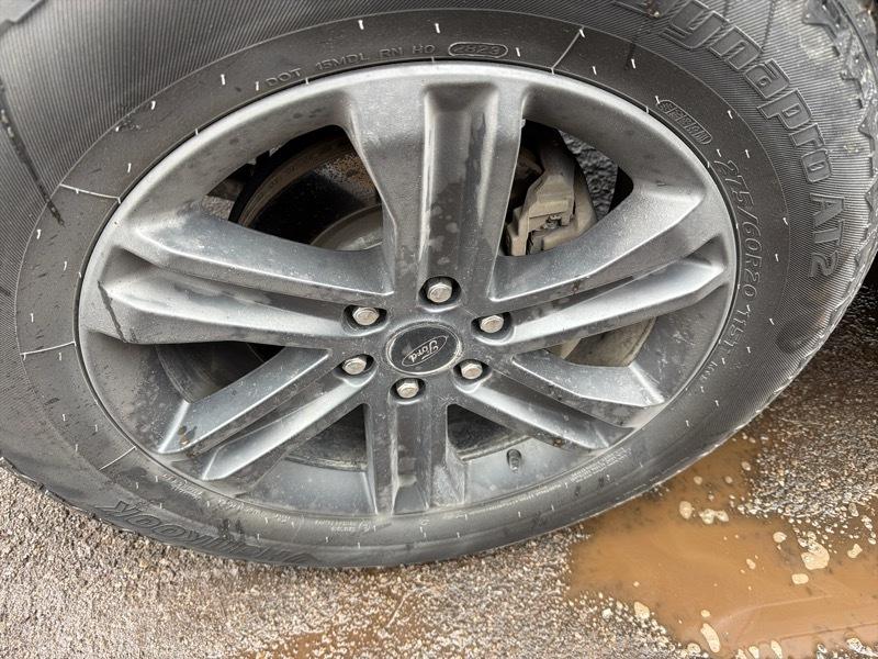 Ford F-150 XLT SuperCrew 5.5-ft. Bed 4WD 2023