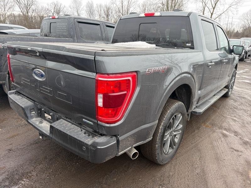 Ford F-150 XLT SuperCrew 5.5-ft. Bed 4WD 2023