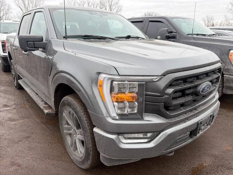 Ford F-150 XLT SuperCrew 5.5-ft. Bed 4WD 2023