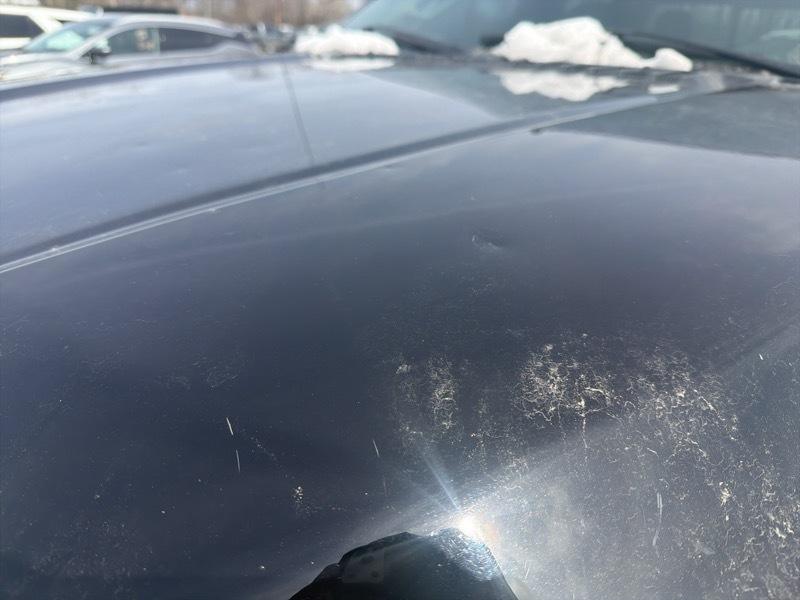 Ford F-150 XLT SuperCrew 6.5-ft. Bed 4WD 2020