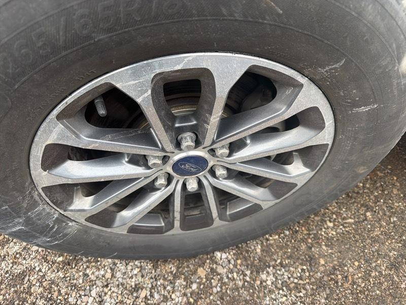 Ford F-150 XLT SuperCrew 6.5-ft. Bed 4WD 2020