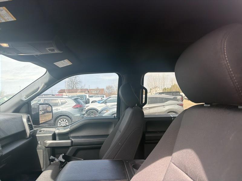 Ford F-150 XLT SuperCrew 6.5-ft. Bed 4WD 2020