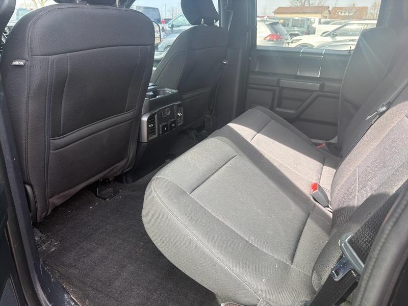 Ford F-150 XLT SuperCrew 6.5-ft. Bed 4WD 2020