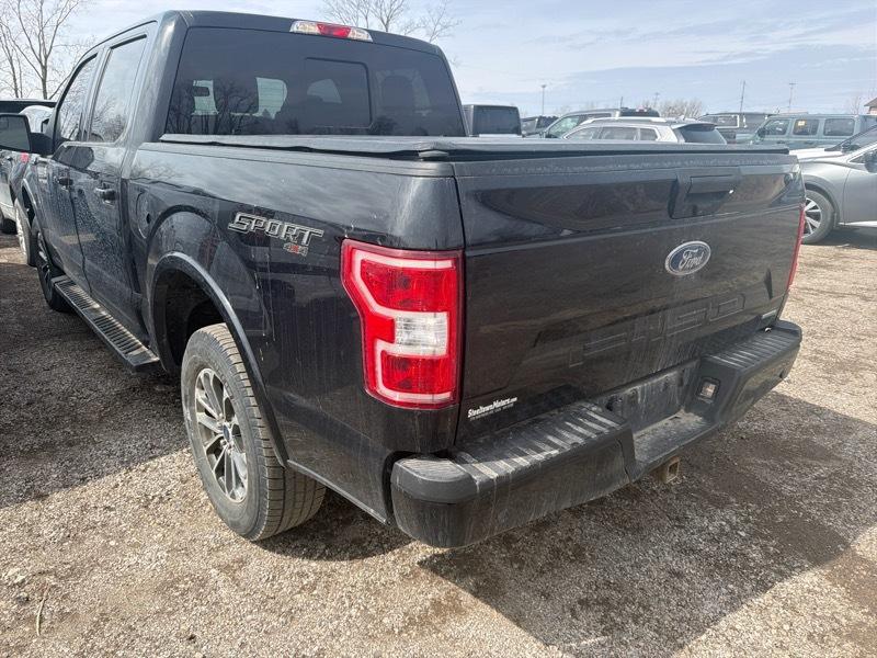 Ford F-150 XLT SuperCrew 6.5-ft. Bed 4WD 2020