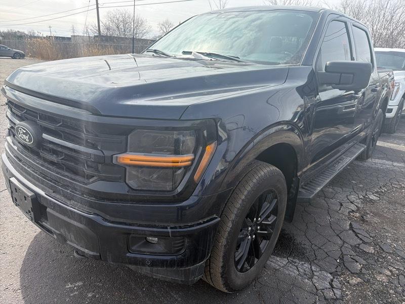 Ford F-150 XLT SuperCrew 4WD 2024