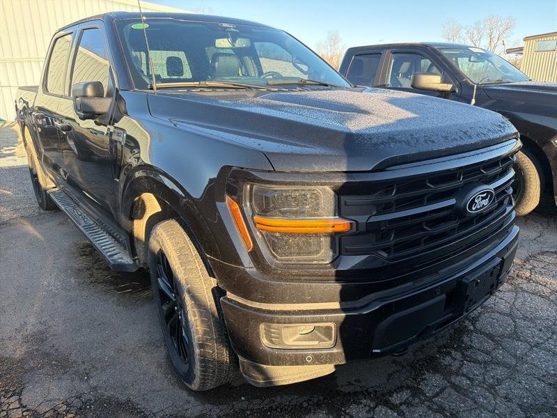 Ford F-150 XLT SuperCrew 4WD 2024