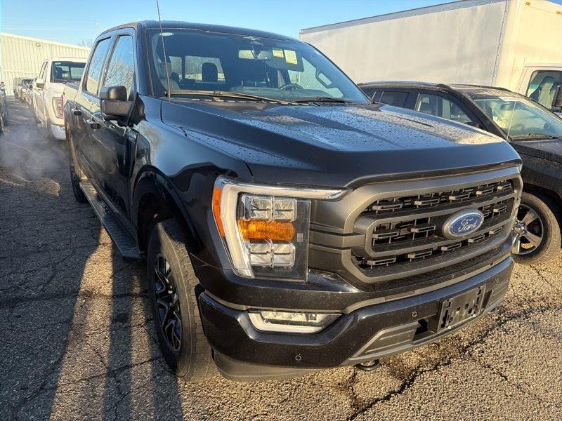 Ford F-150 XLT SuperCrew 5.5-ft. Bed 4WD 2023