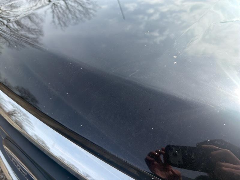 Ford F-150 XLT SuperCrew 5.5-ft. Bed 4WD 2023