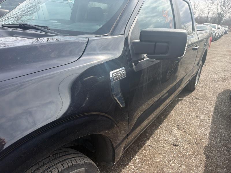 Ford F-150 XLT SuperCrew 5.5-ft. Bed 4WD 2023