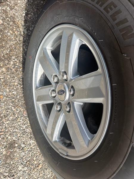 Ford F-150 XLT SuperCrew 5.5-ft. Bed 4WD 2023