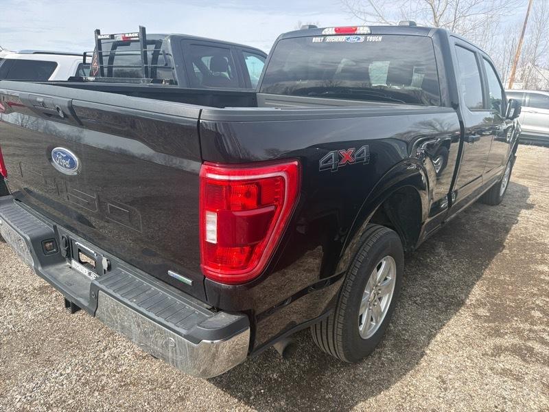Ford F-150 XLT SuperCrew 5.5-ft. Bed 4WD 2023