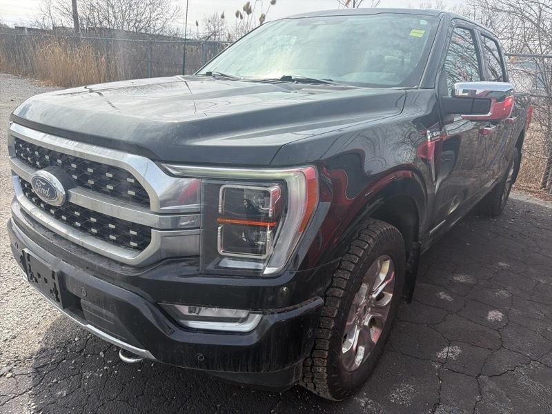 2023 Ford F-150 PLATINUM SuperCrew 5.5-ft. Bed 4WD