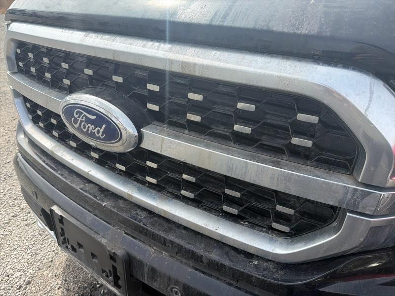 Ford F-150 Platinum SuperCrew 5.5-ft. Bed 4WD 2023