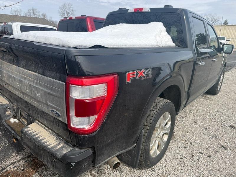 Ford F-150 Platinum SuperCrew 5.5-ft. Bed 4WD 2023