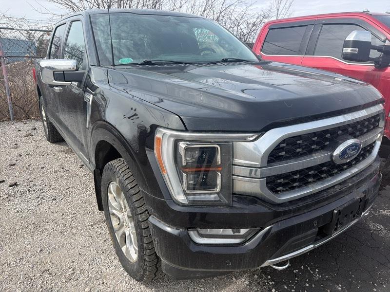 Ford F-150 Platinum SuperCrew 5.5-ft. Bed 4WD 2023