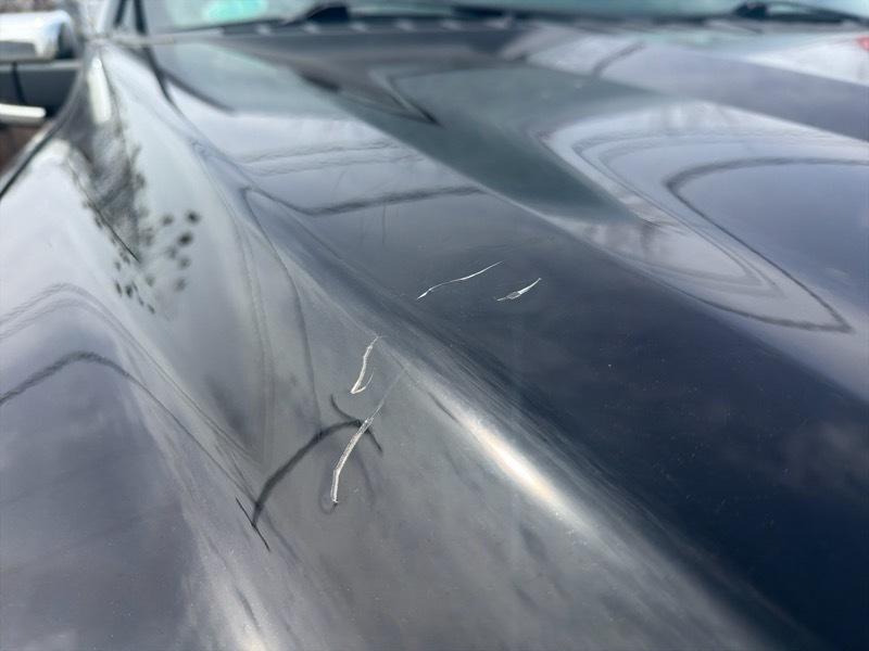 Ford F-150 Platinum SuperCrew 5.5-ft. Bed 4WD 2023