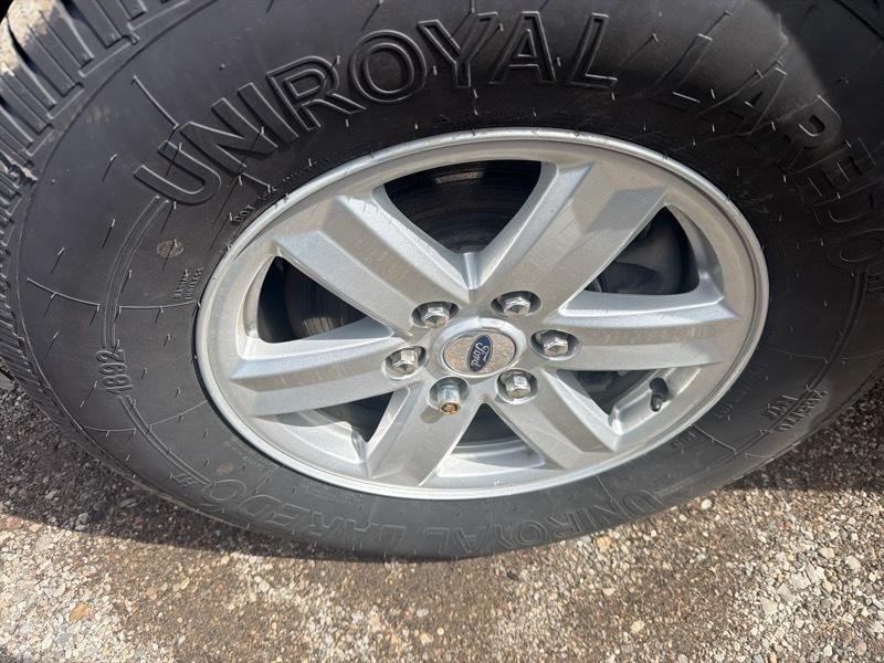 Ford F-150 XLT SuperCrew 5.5-ft. Bed 4WD 2023