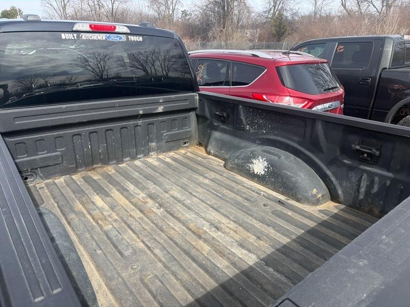 Ford F-150 XLT SuperCrew 5.5-ft. Bed 4WD 2023