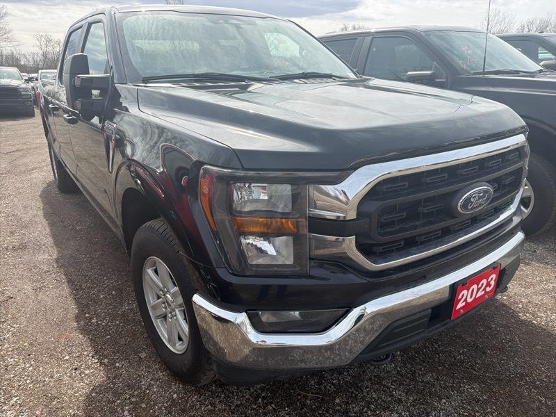 Ford F-150 XLT SuperCrew 5.5-ft. Bed 4WD 2023