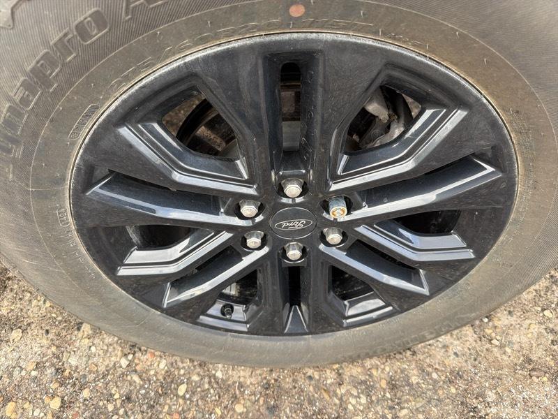 Ford F-150 XLT SuperCrew 4WD 2024